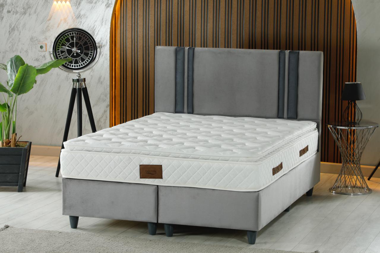 LOTUS Luxury Upholstered Bed Set – Light Gray Platform Bed with Contemporary Accent Headboard